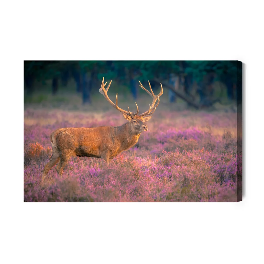 Obraz Na Płótnie Jeleń Na Rykowisku Canvas Brak Brak 60x90