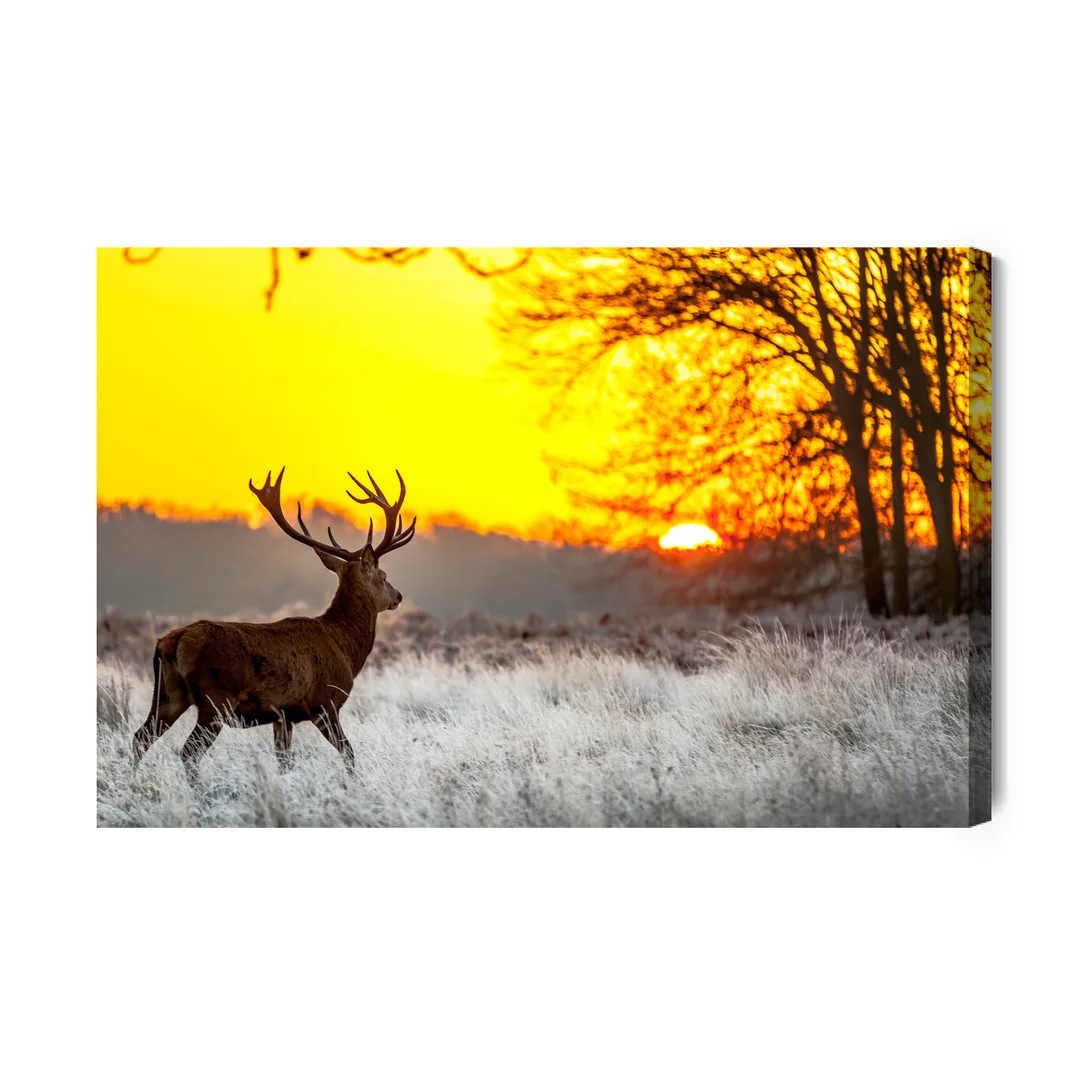 Obraz Na Płótnie Jeleń Na Tle Wschodzącego Słońca Canvas Brak Brak 60x90