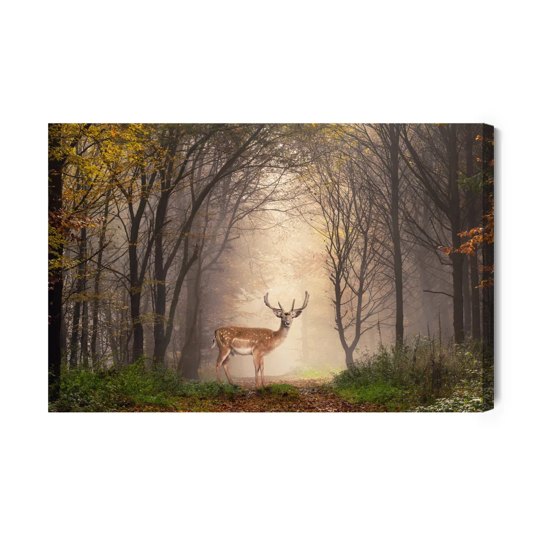 Obraz Na Płótnie Jeleń Pośrodku Lasu Canvas Brak Brak 60x90