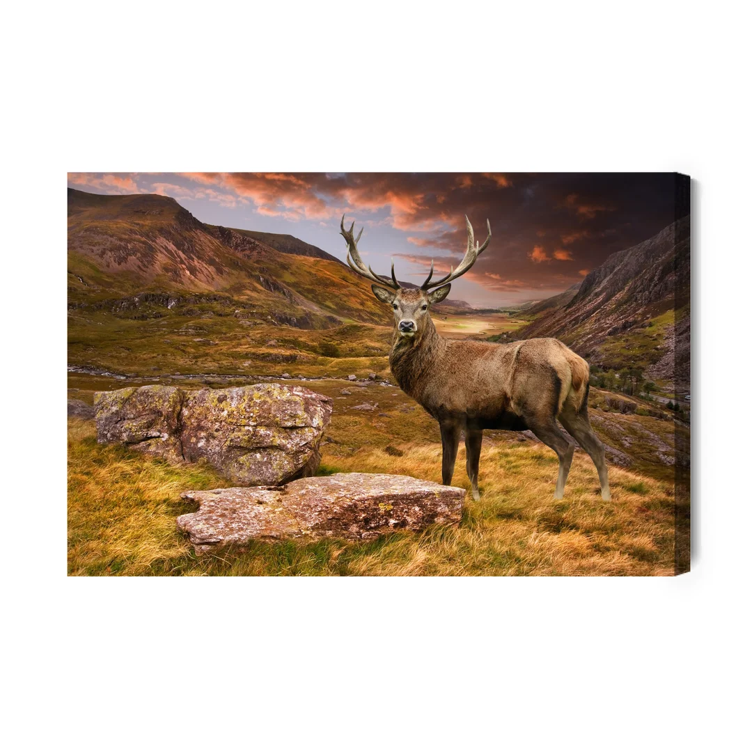 Obraz Na Płótnie Jeleń W Górach Canvas Brak Brak 60x90