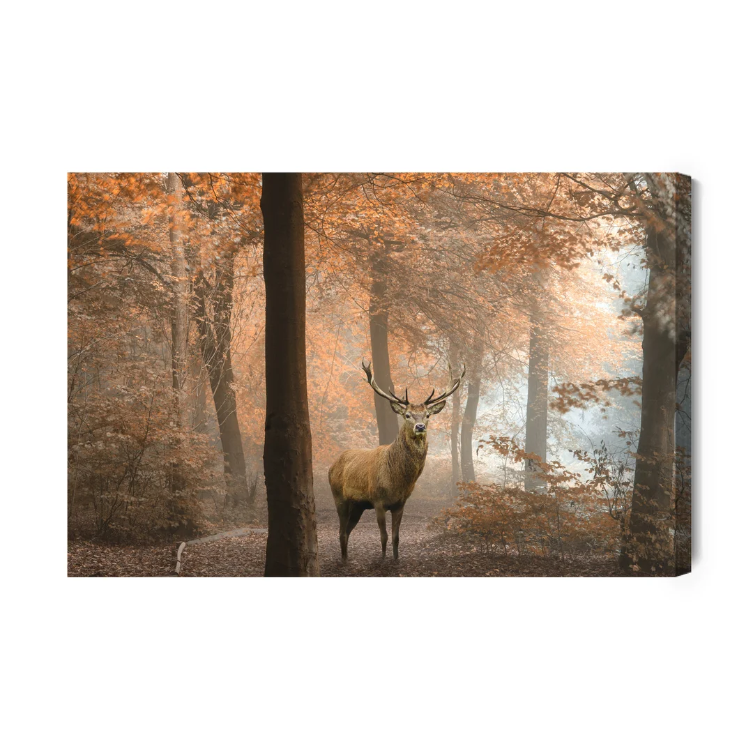 Obraz Na Płótnie Jeleń W Jesiennym Lesie Canvas Brak Brak 60x90