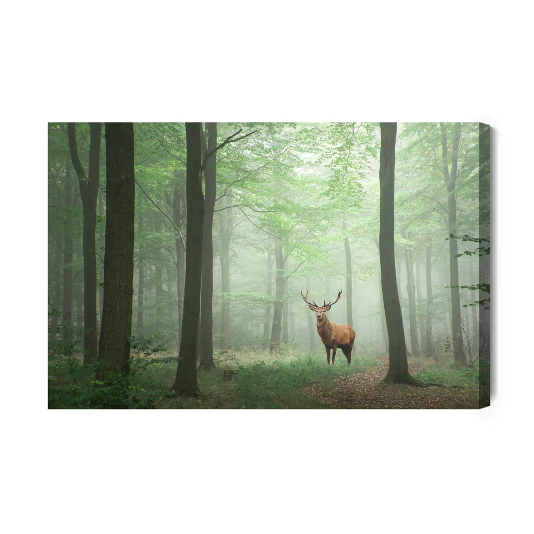Obraz Na Płótnie Jeleń W Mglistym Lesie Canvas Brak Brak 60x90