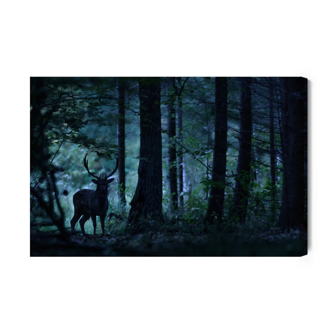 Obraz Na Płótnie Jeleń W Mrocznym Lesie Canvas Brak Brak 60x90