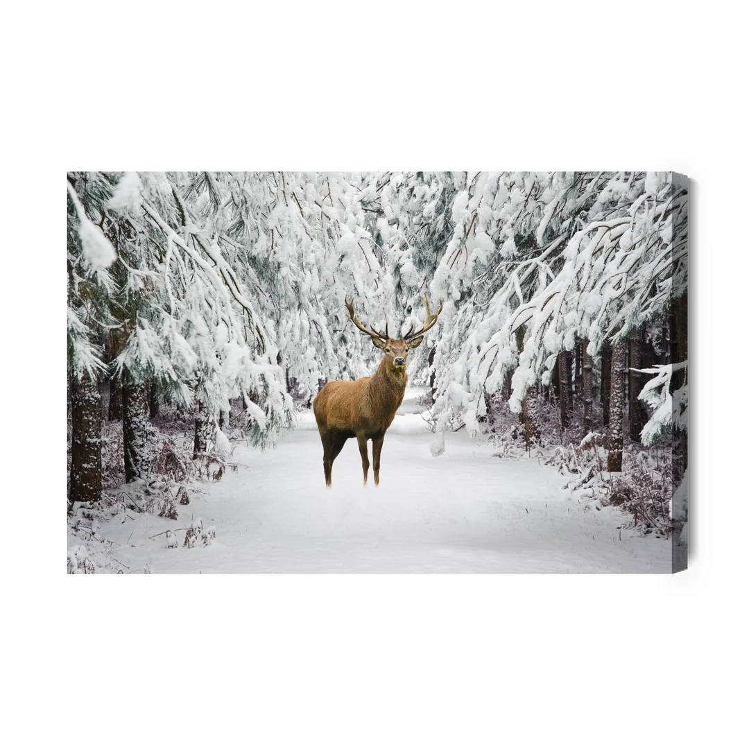 Obraz Na Płótnie Jeleń W Zimowym Lesie Canvas Brak Brak 60x90