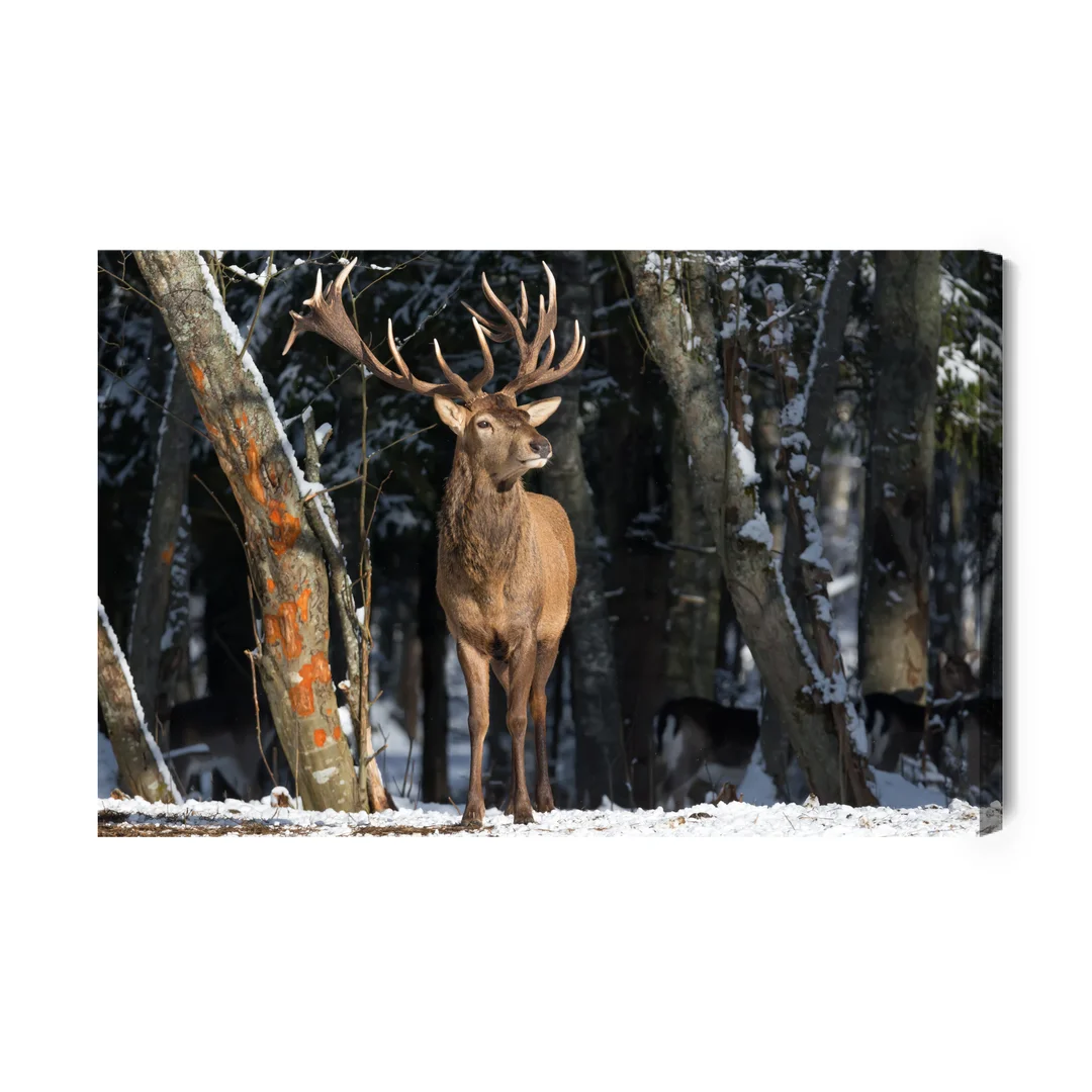 Obraz Na Płótnie Jeleń Wśród Drzew Canvas Brak Brak 60x90
