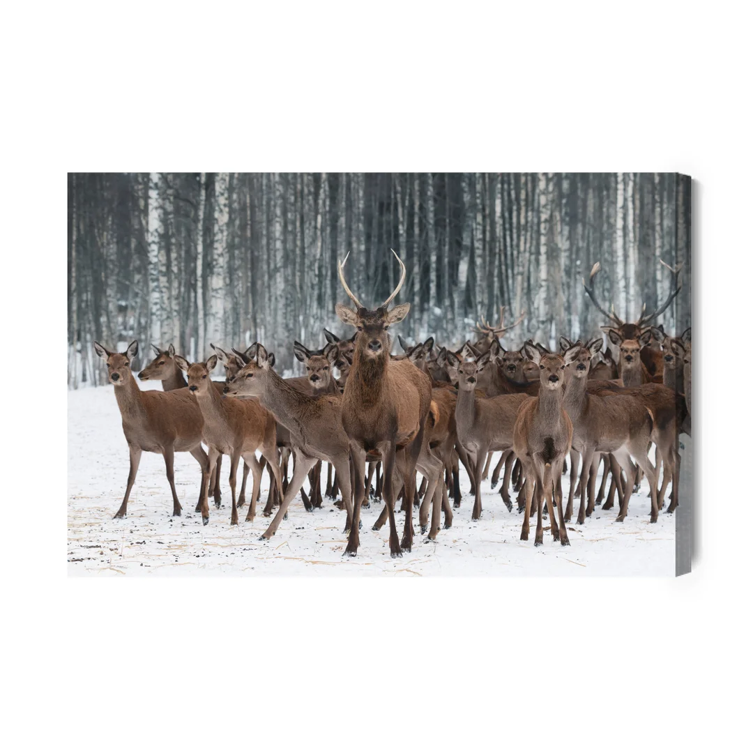 Obraz Na Płótnie Jelenie Wśród Łań Canvas Brak Brak 60x90