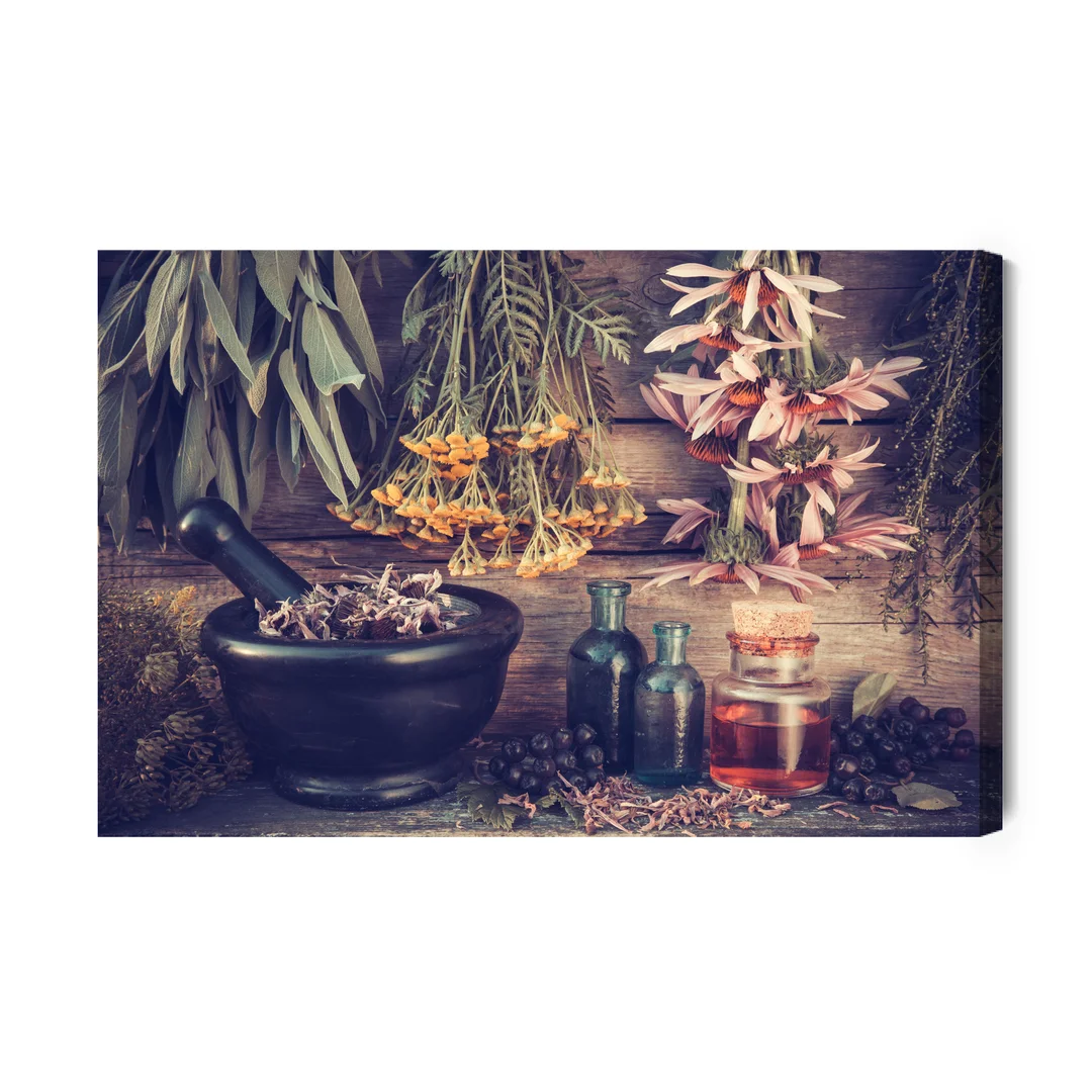 Obraz Na Płótnie Kącik Ziół I Przypraw Canvas Brak Brak 60x90
