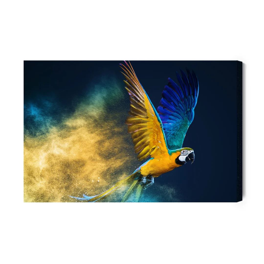 Obraz Na Płótnie Kolorowa Papuga Ara Canvas Brak Brak 60x90