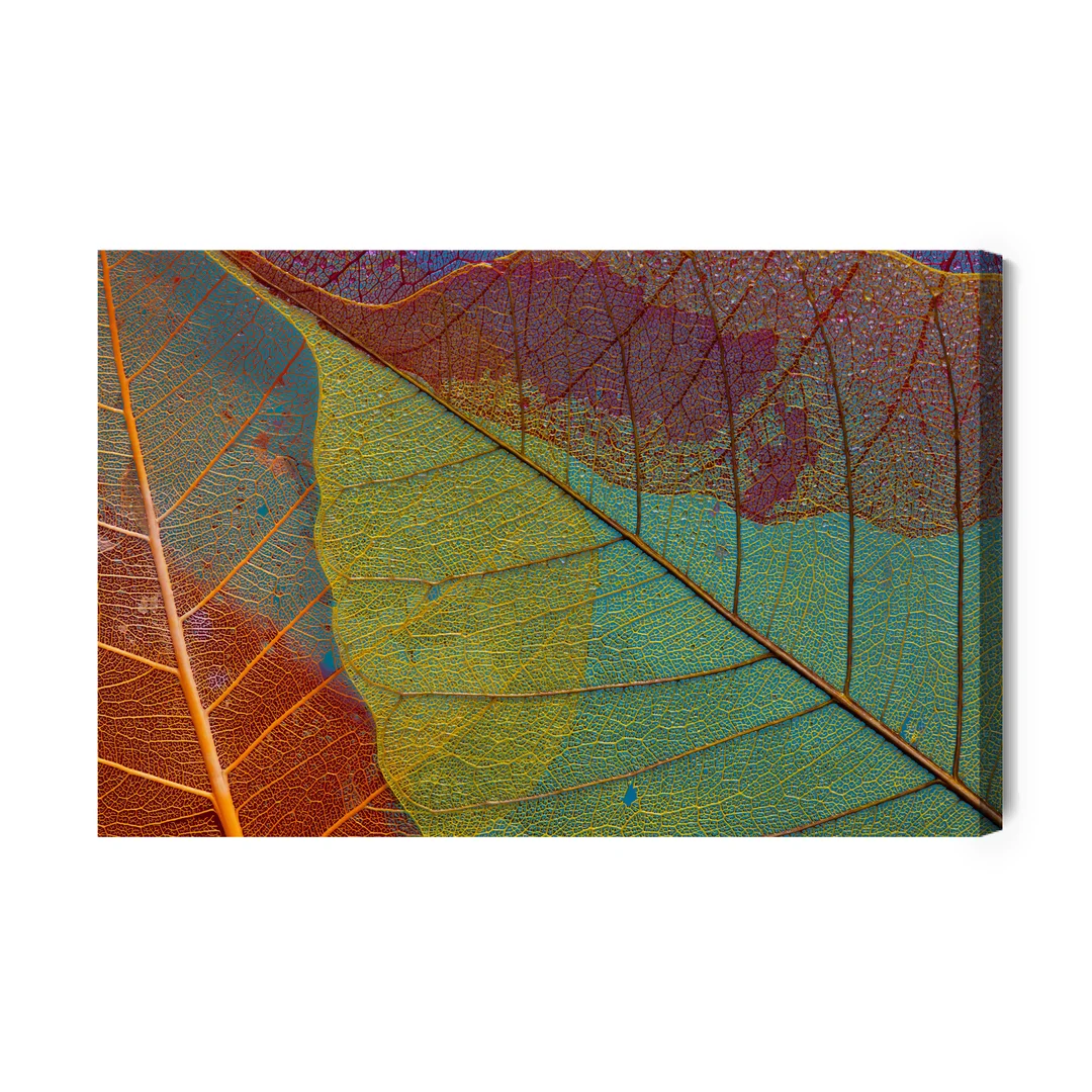 Obraz Na Płótnie Kolorowe Liście W Skali Makro Canvas Brak Brak 60x90