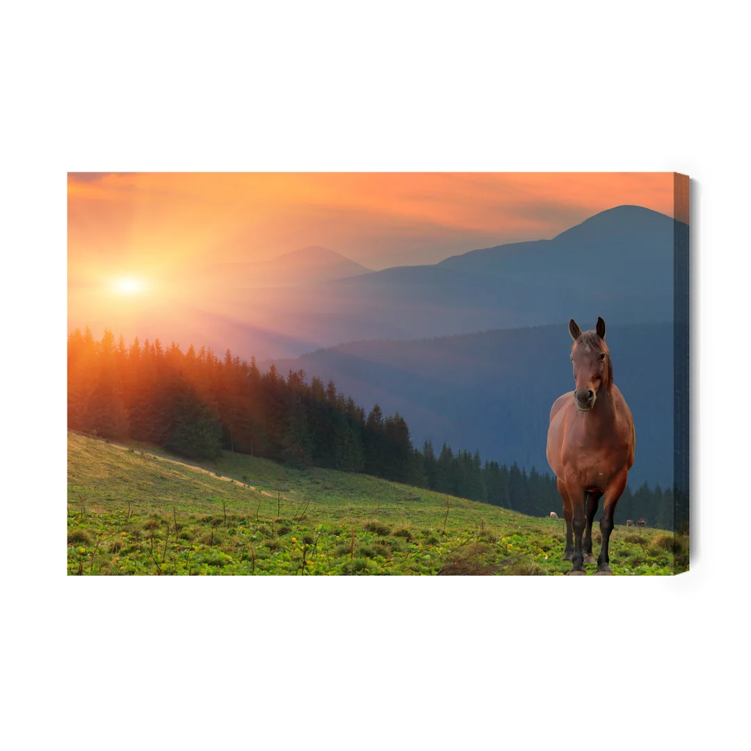 Obraz Na Płótnie Koń Na Tle Zachodu Słońca Canvas Brak Brak 60x90