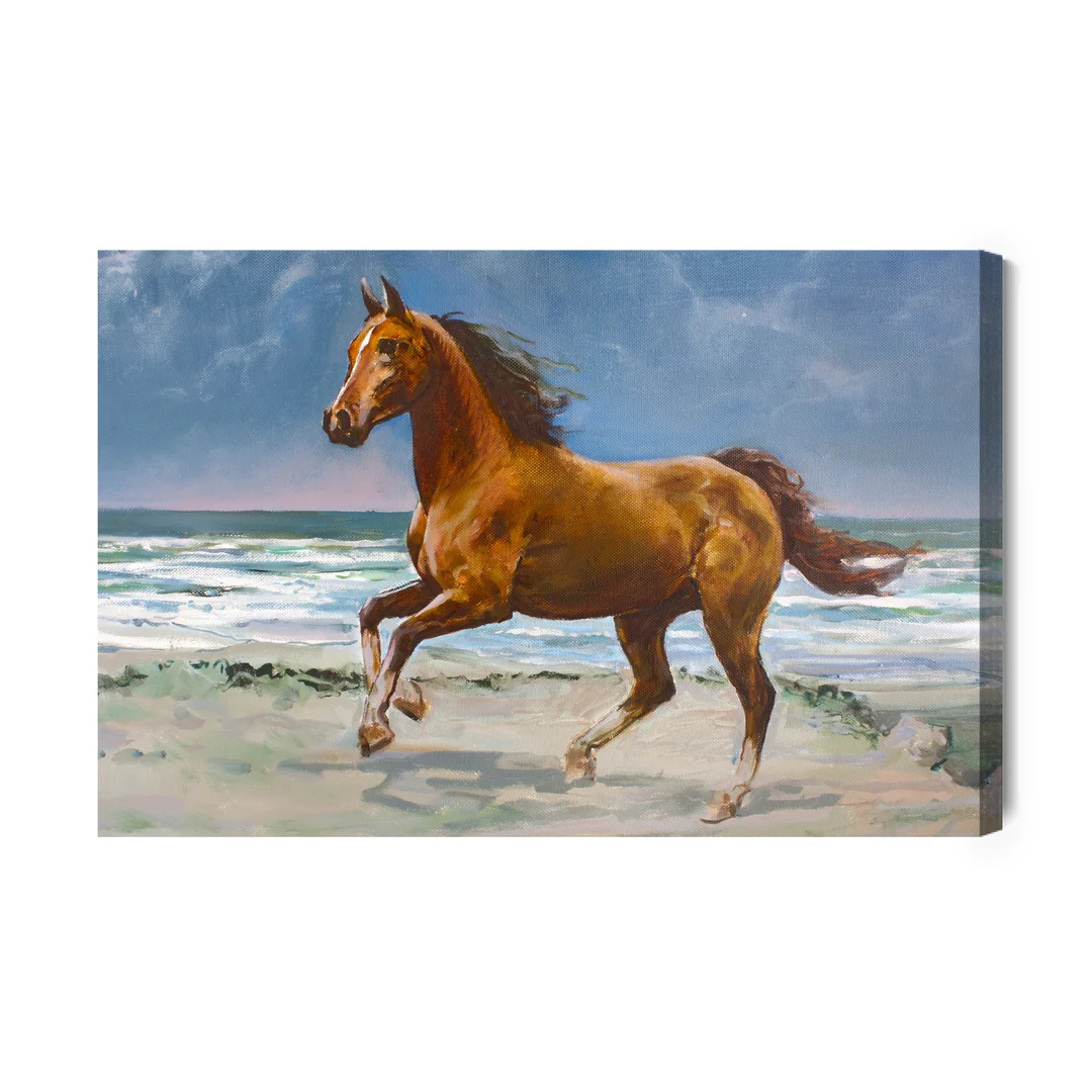 Obraz Na Płótnie Koń Słońce I Morze Canvas Brak Brak 60x90