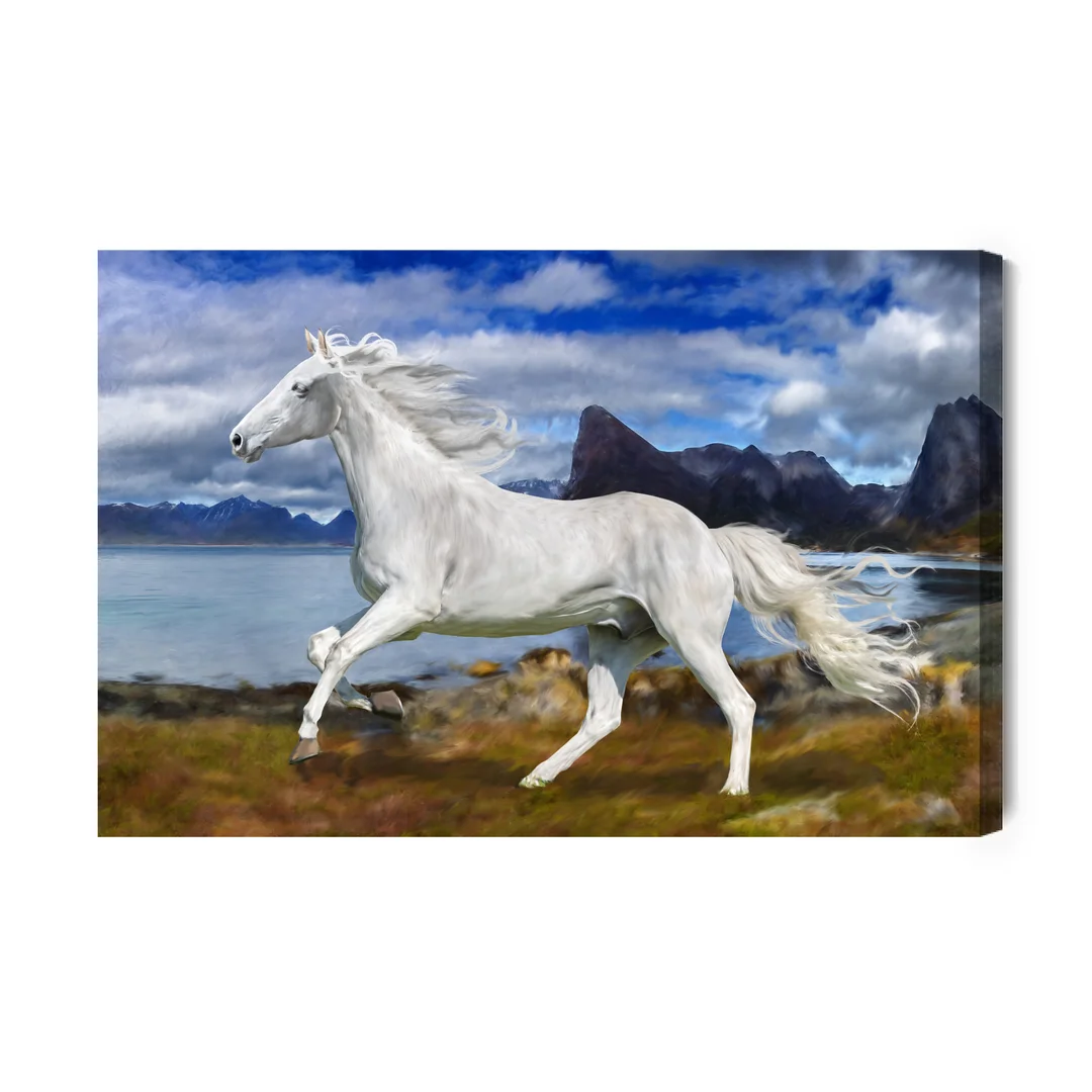 Obraz Na Płótnie Koń W Galopie Canvas Brak Brak 60x90
