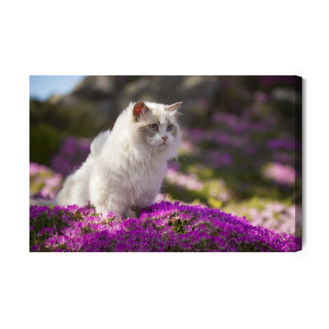 Obraz Na Płótnie Kot Rasy Ragdoll Pośród Kwiatów Canvas Brak Brak 60x90