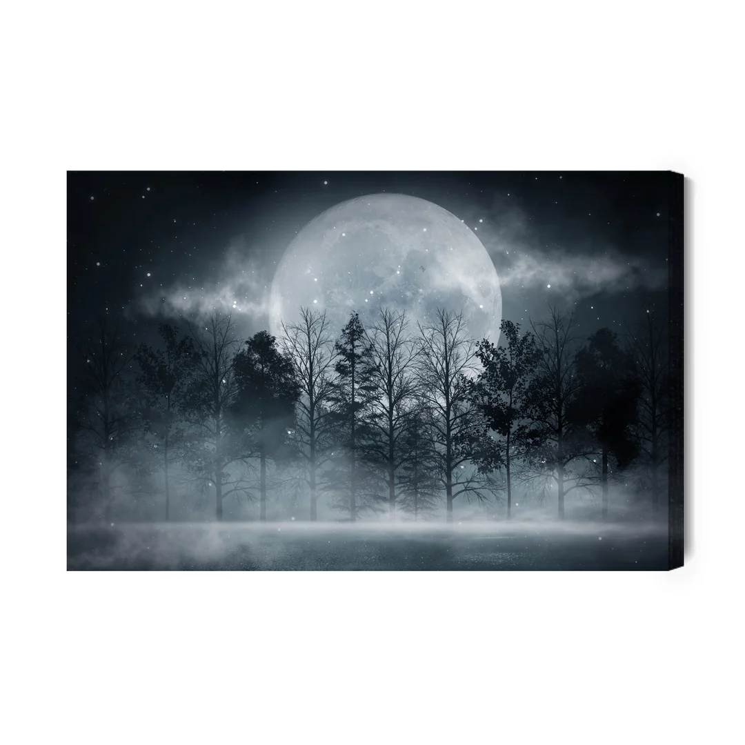 Obraz Na Płótnie Księżyc W Pełni W Zamglonym Lesie Canvas Brak Brak 60x90