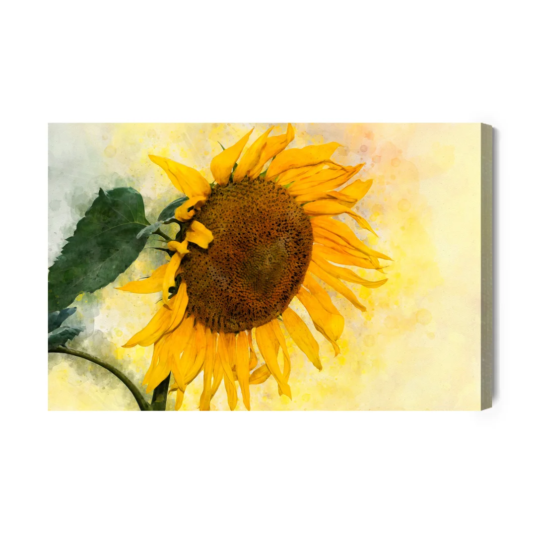 Obraz Na Płótnie Kwiat Słonecznika Malowany Akwarelą Canvas Brak Brak 60x90