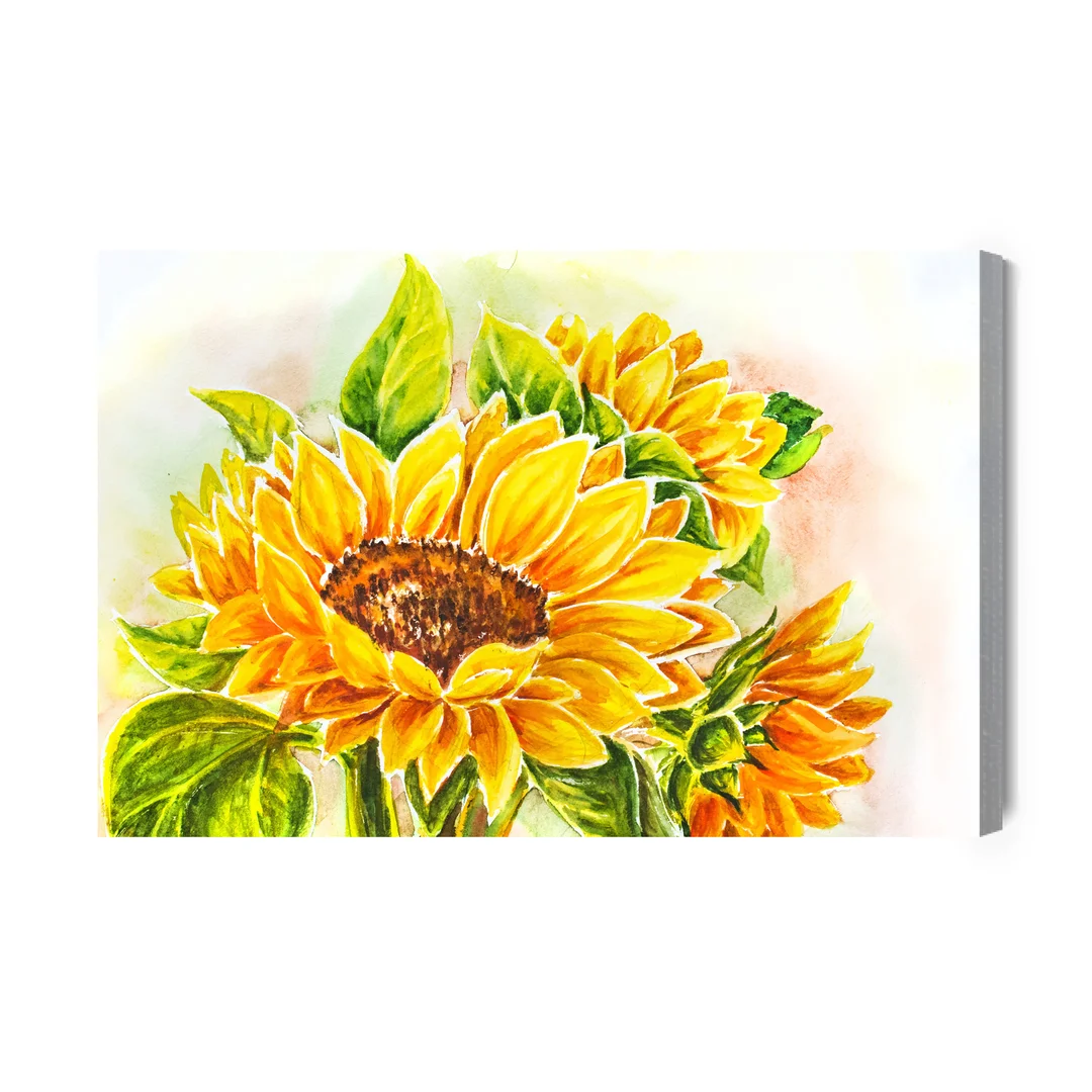 Obraz Na Płótnie Kwiaty Słonecznika Malowane Akwarelą Canvas Brak Brak 60x90