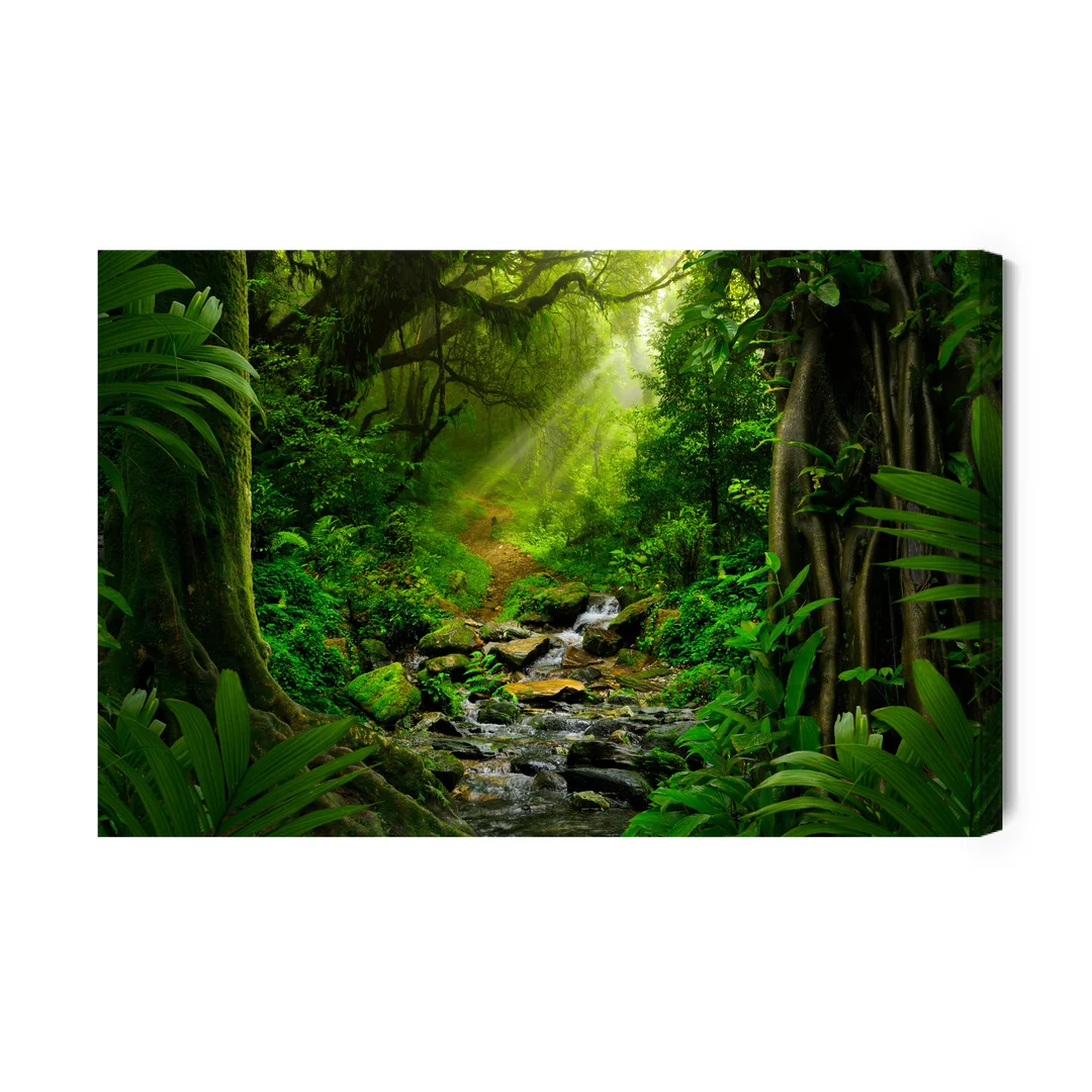 Obraz Na Płótnie Las Deszczowy 3D Canvas Brak Brak 60x90