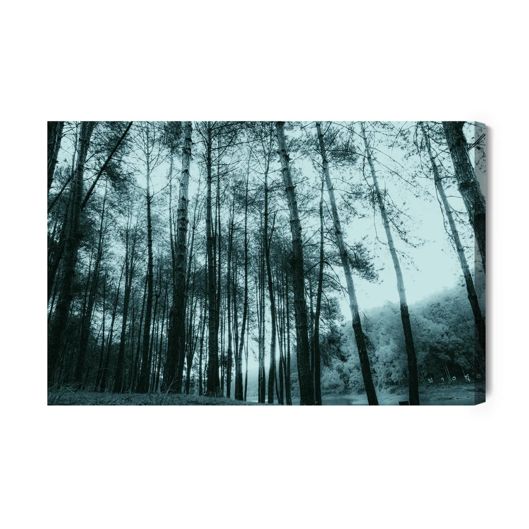Obraz Na Płótnie Las Drzewa Brzozy Canvas Brak Brak 60x90