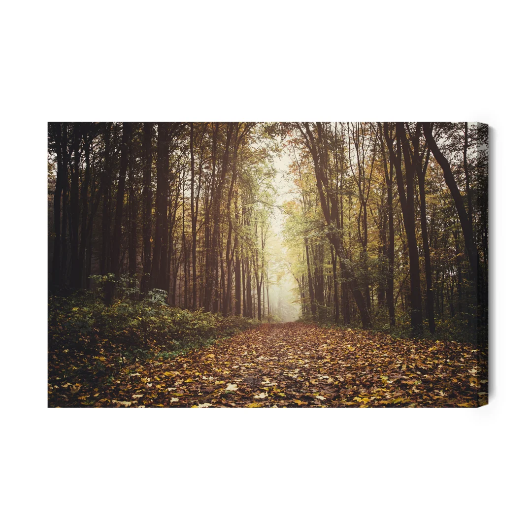Obraz Na Płótnie Las Jesienią Canvas Brak Brak 60x90