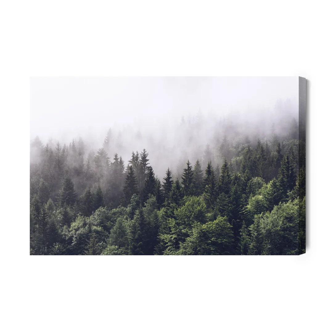 Obraz Na Płótnie Las Owiany Mgłą Canvas Brak Brak 60x90