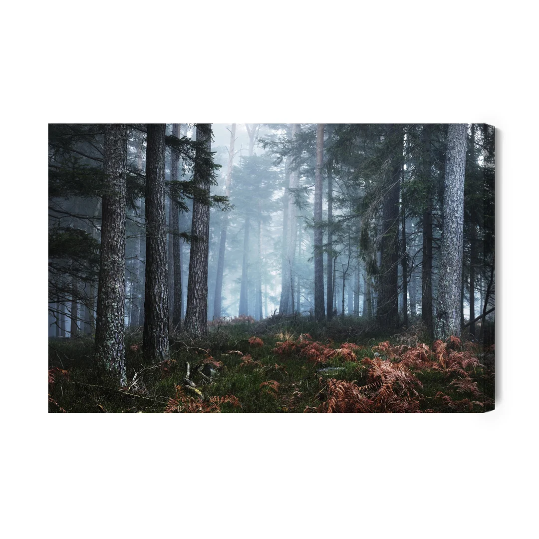 Obraz Na Płótnie Las Sosnowy We Mgle Canvas Brak Brak 60x90