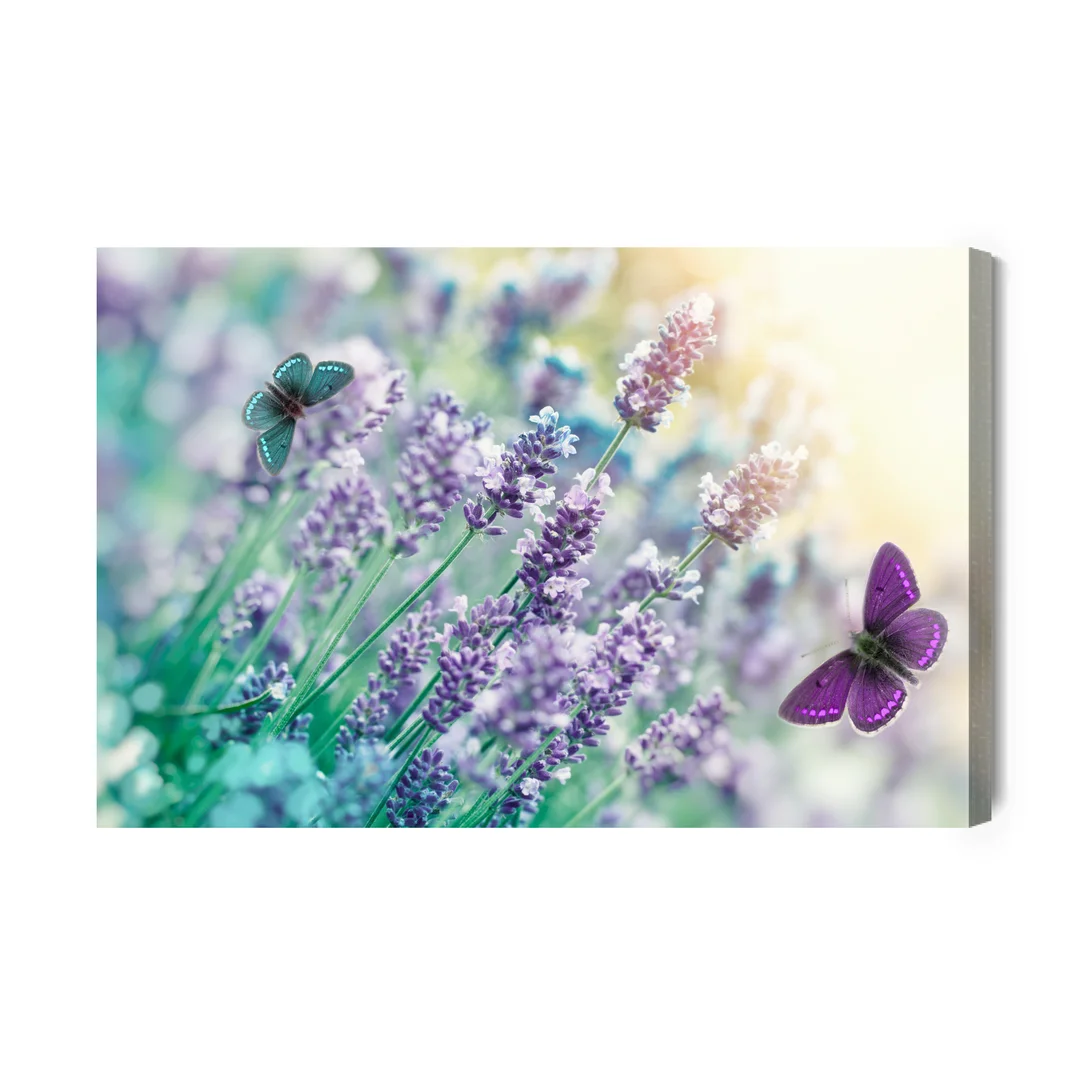 Obraz Na Płótnie Lawenda I Motyle Canvas Brak Brak 60x90
