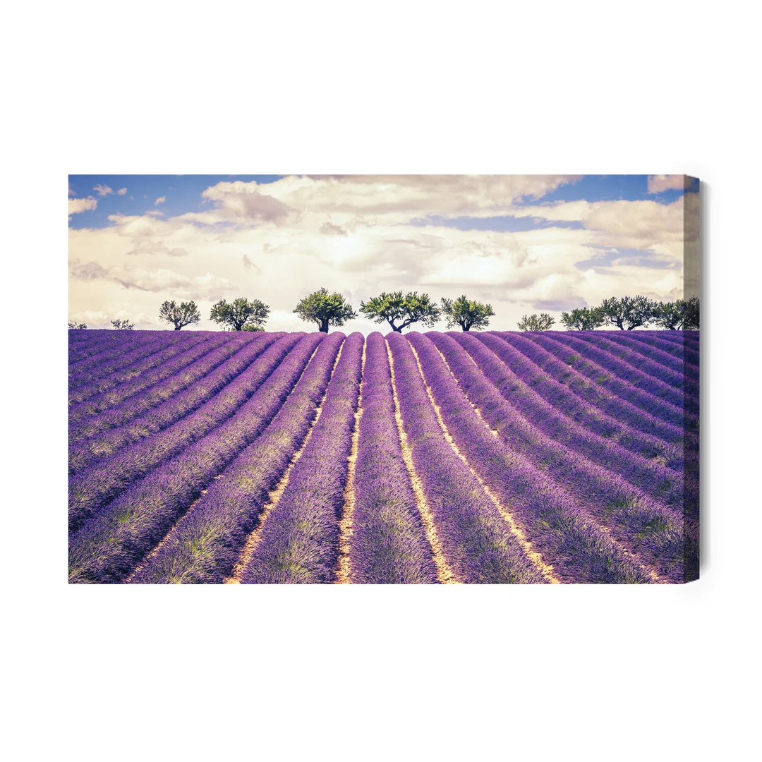 Obraz Na Płótnie Lawendowe Pole Canvas Brak Brak 60x90