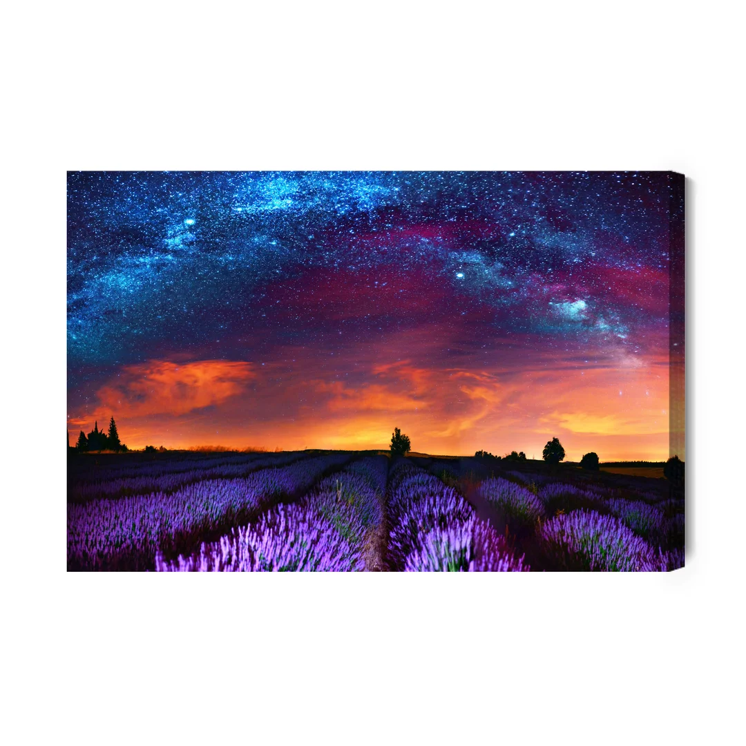 Obraz Na Płótnie Lawendowe Pole W Gwiaździstą Noc Canvas Brak Brak 60x90