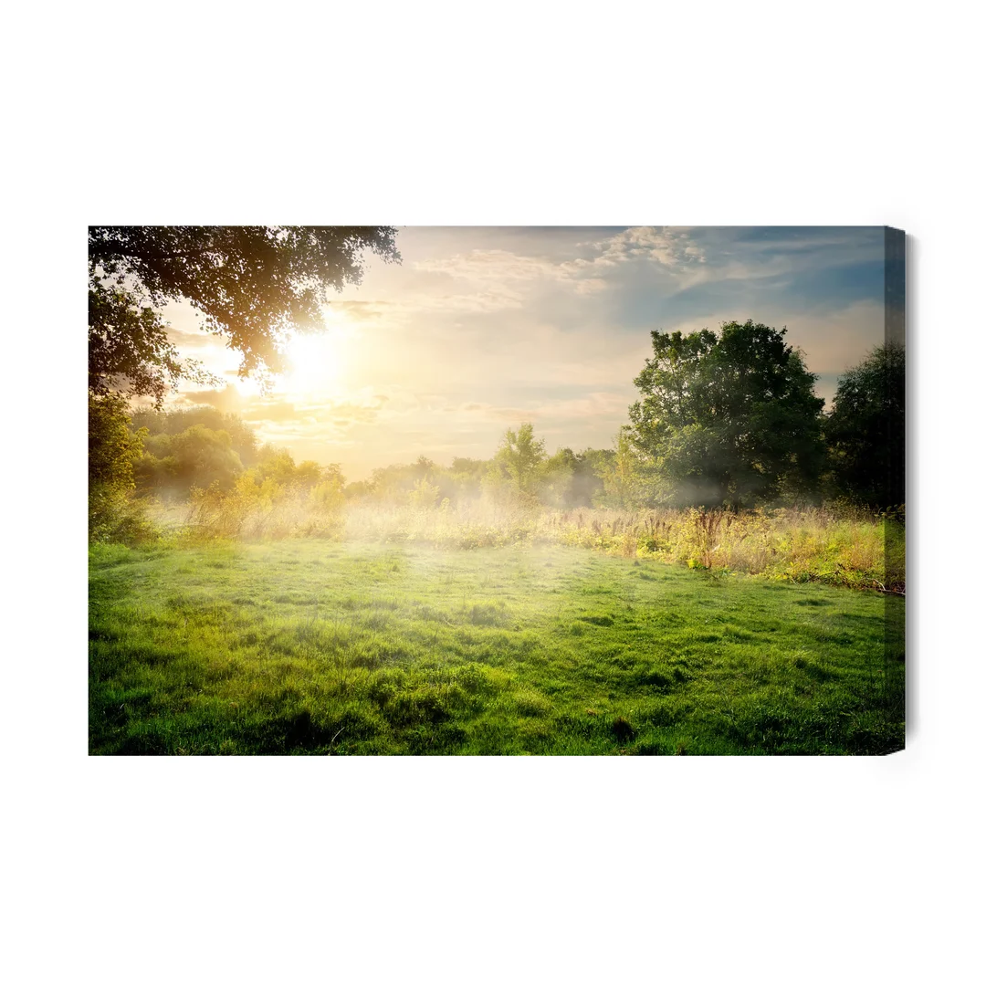 Obraz Na Płótnie Leśna Polana O Poranku Canvas Brak Brak 60x90
