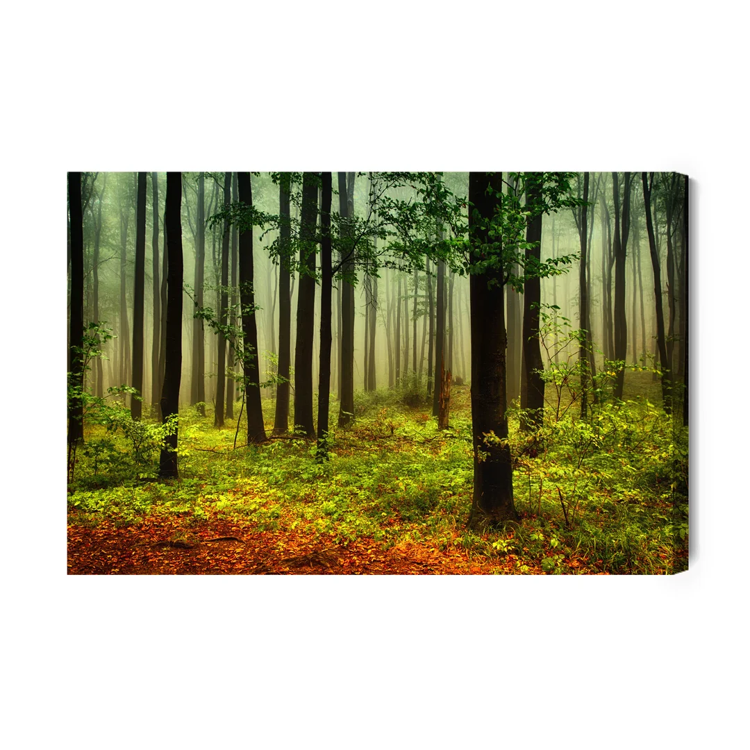 Obraz Na Płótnie Leśny Pejzaż 3D Canvas Naturalny Brak Brak 70x100