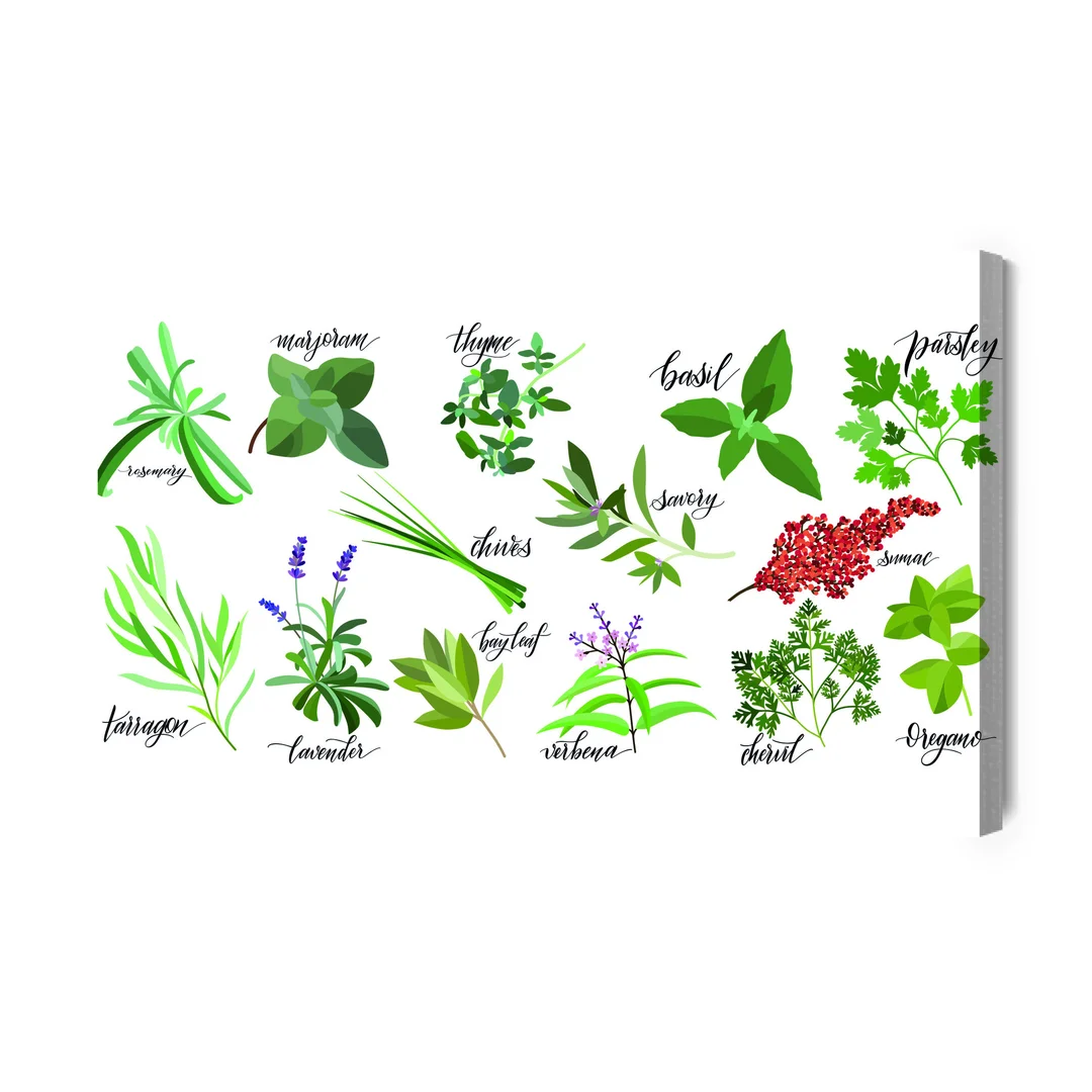 Obraz Na Płótnie Opisane Zioła I Przyprawy Canvas Naturalny Brak Brak 70x100