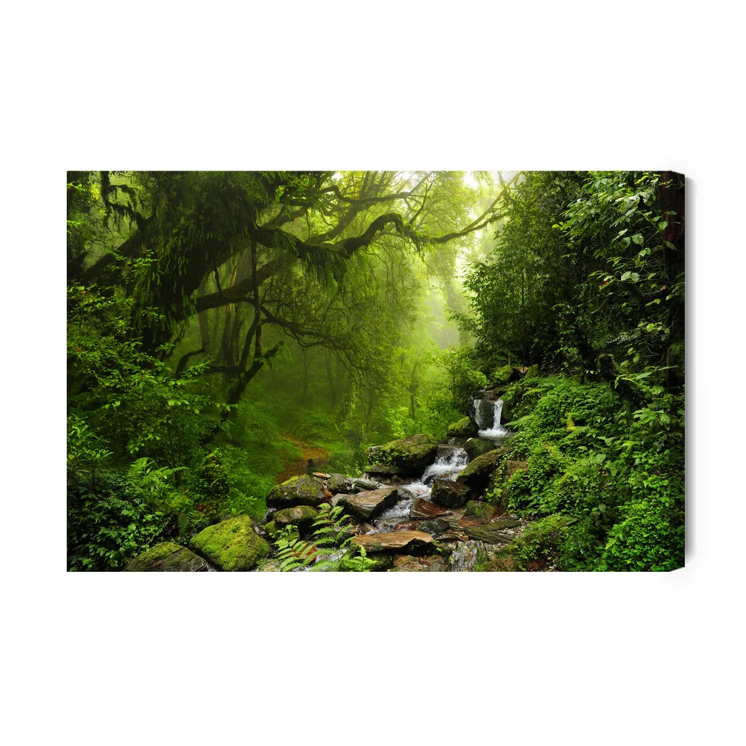 Obraz Na Płótnie Subtropikalny Las W Nepalu Canvas Naturalny Brak Brak 70x100