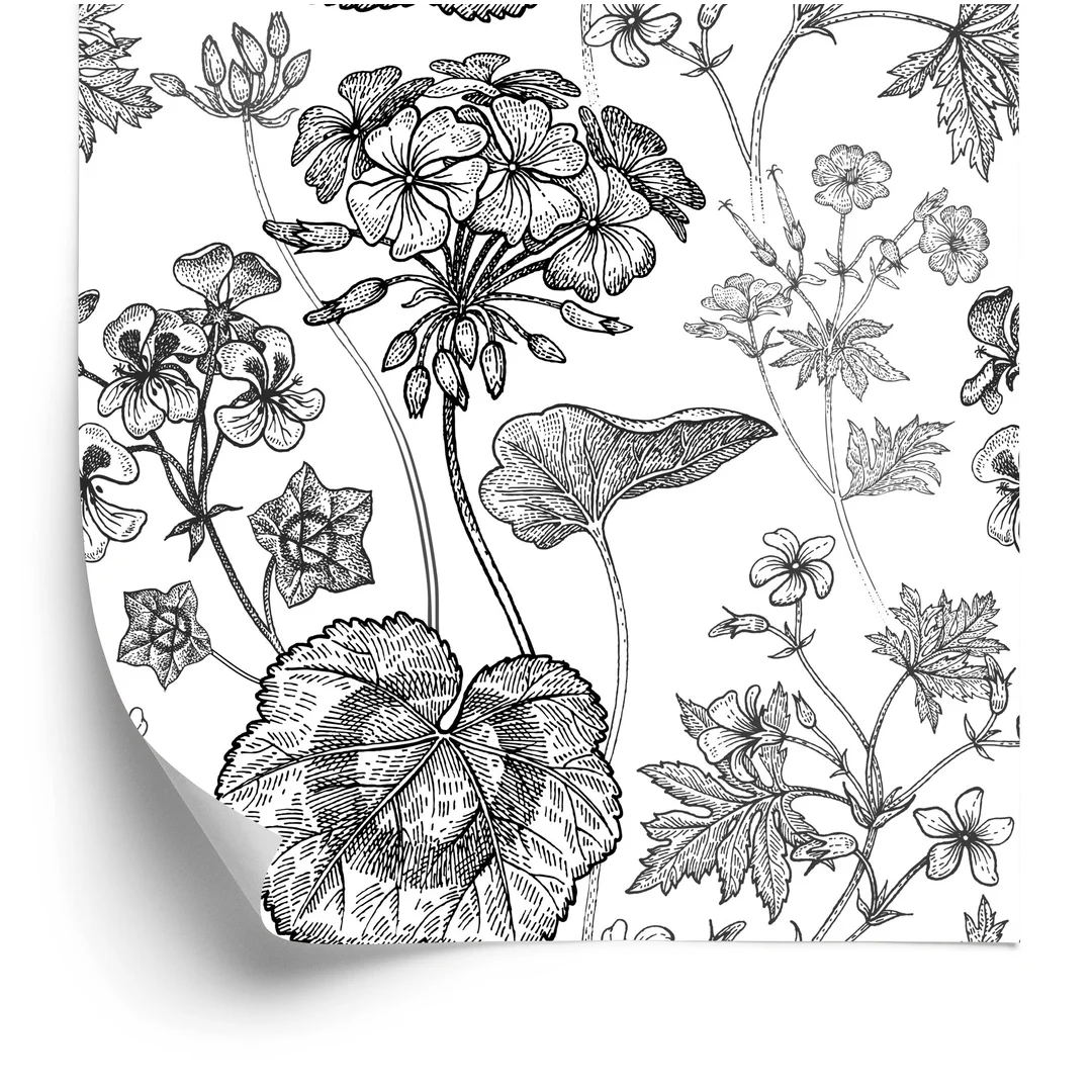 Tapeta Czarno-Białe Pelargonie Flizelina 53x1000