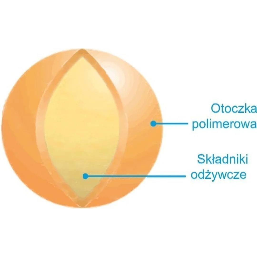 Nawóz do Trawy Jesienny BarFertile Late Barenbrug 20kg — zdjęcie 3