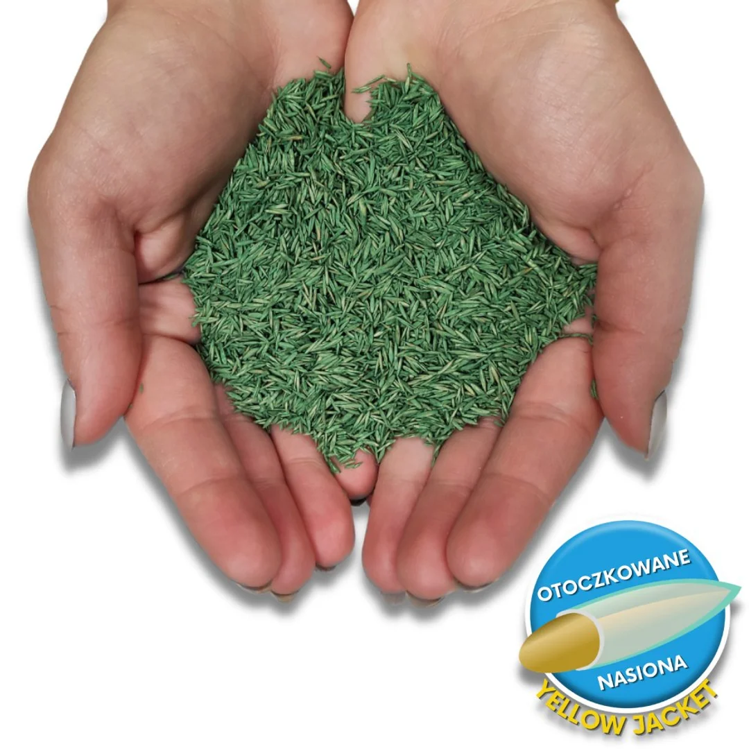 Trawa Na Ekstremalne Warunki Barenbrug Resilient Blue Lawn Otoczkowana 5kg — zdjęcie 7