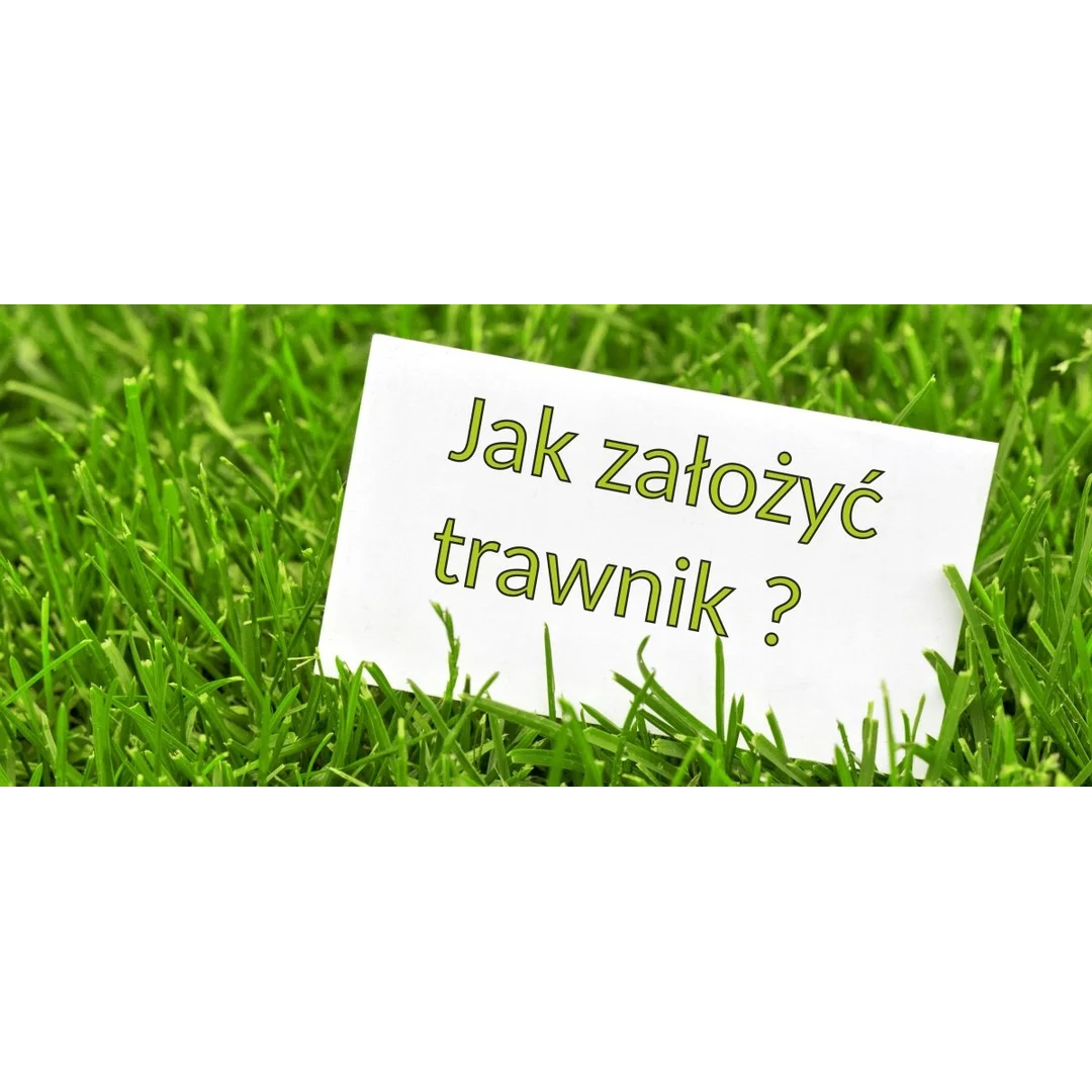 Trawa Odporna na Suszę Trawnik Polski Desert 0,9kg — zdjęcie 6