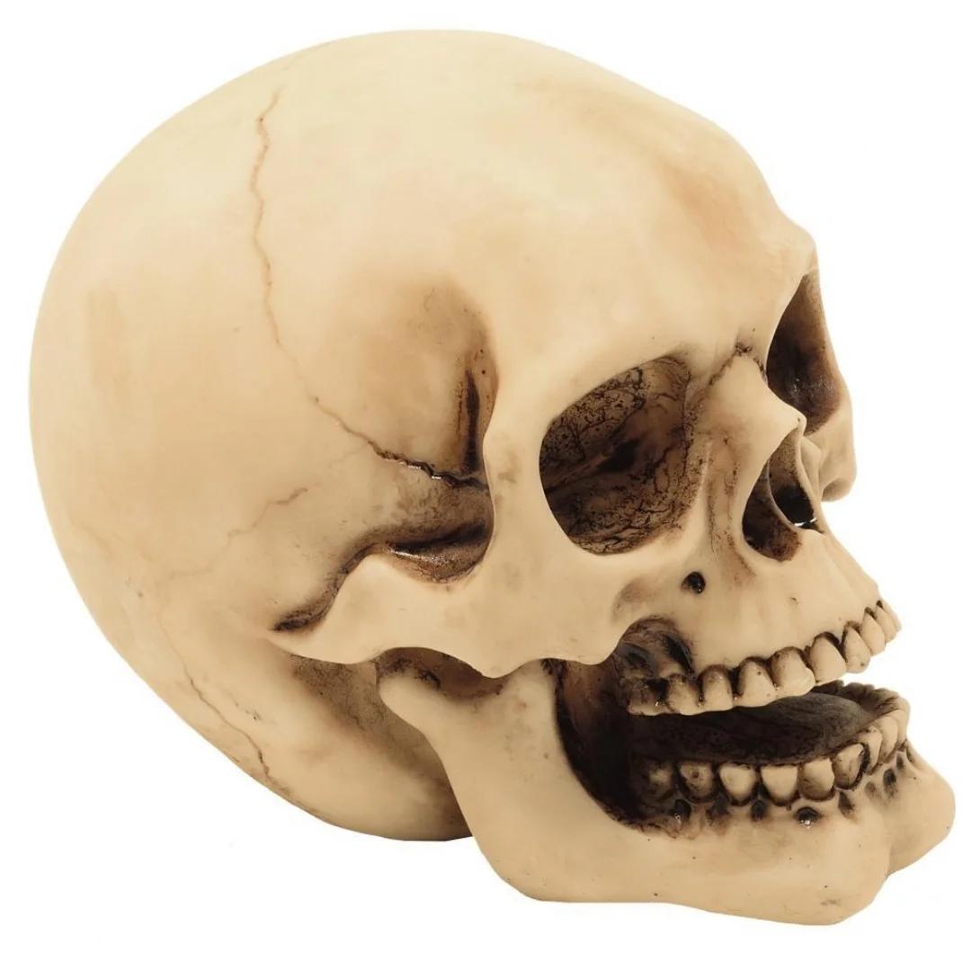Figurka Czaszka 10cm Dekoracja– MC-30684 — zdjęcie 4