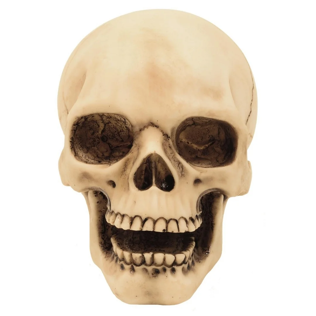 Figurka Czaszka 10cm Dekoracja– MC-30684 — zdjęcie 5