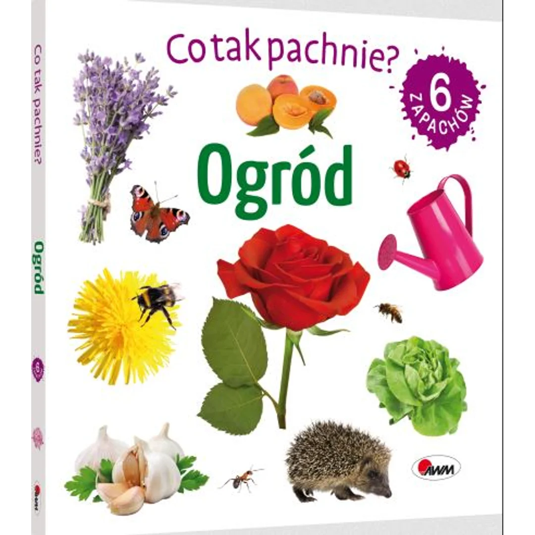 ND01_262366 Co tak pachnie? Ogród 14706