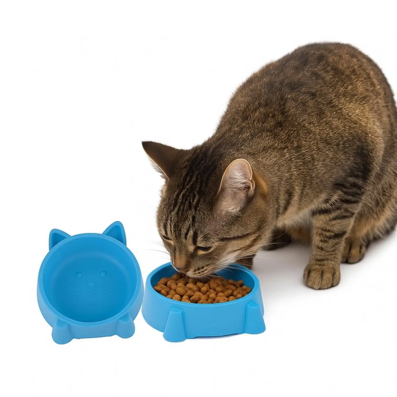 ZWI/MISKA DLA KOTA Z TW. SZT. POJEDYŃCZA (288)