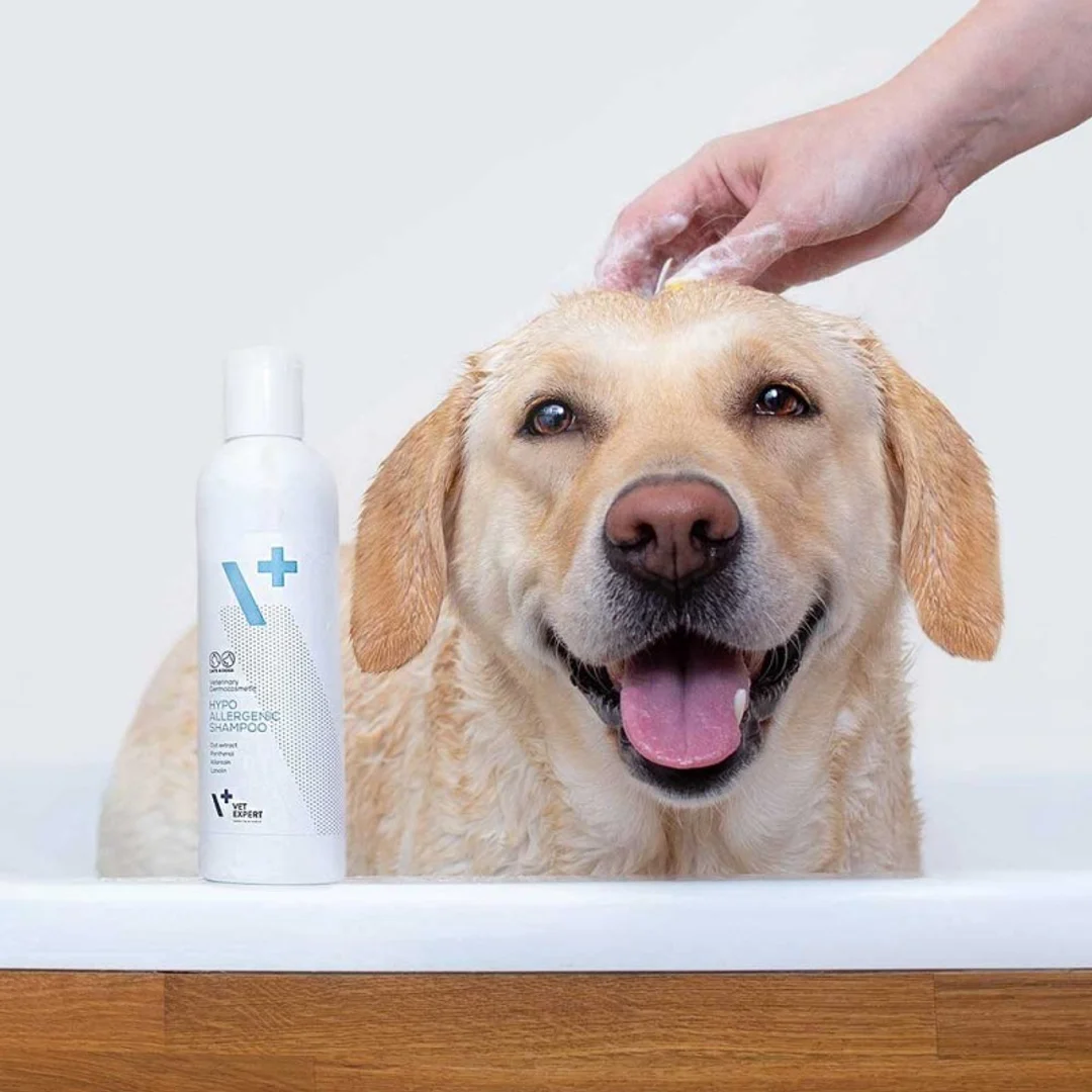 VetExpert Hypoallergenic Shampoo - Pielęgnacja dla psów i kotów - 250ml - 4