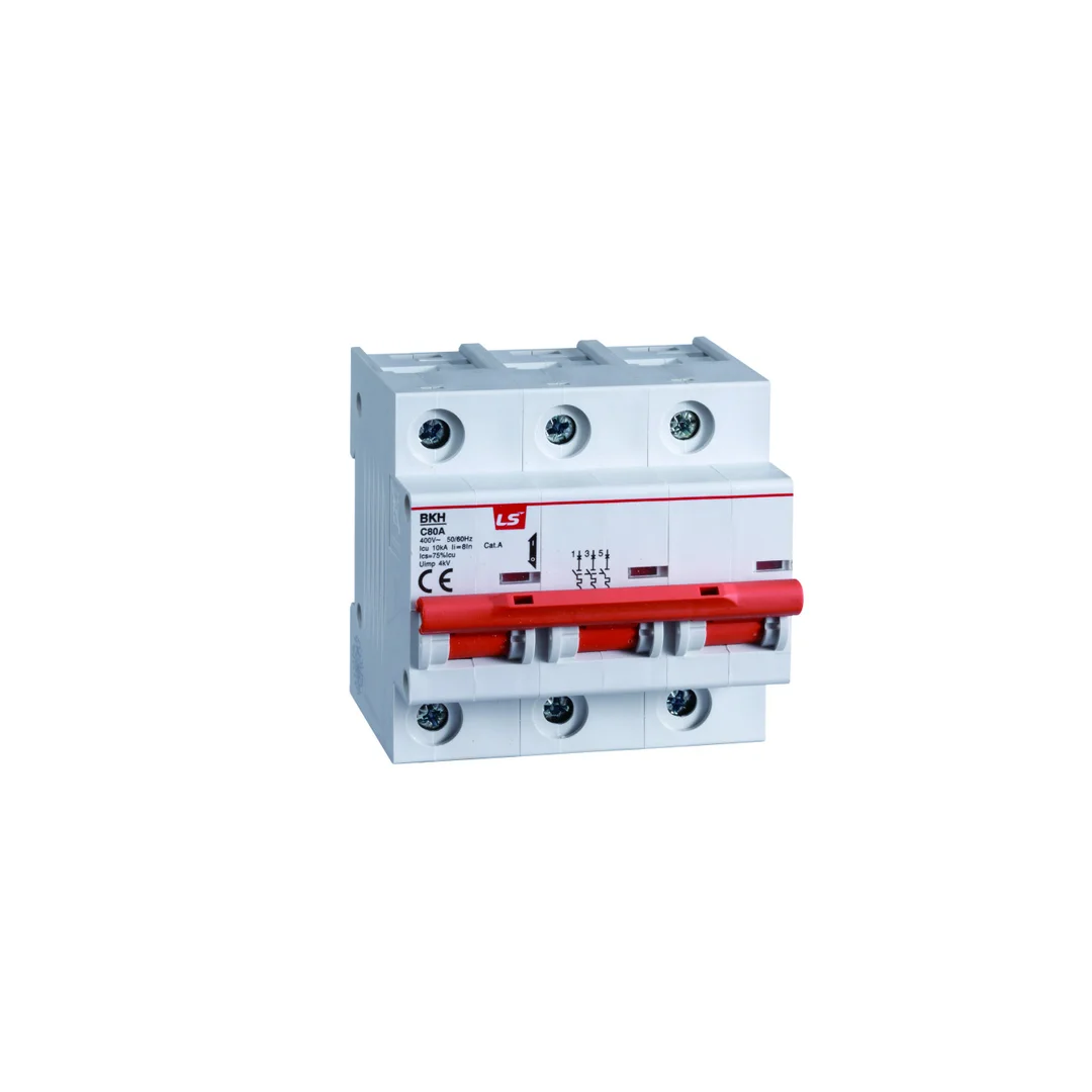 Wyłącznik instalacyjny LS Electric BKH 2P, 63A, charakterystyka D 06110341R0 BKH 2P D63A