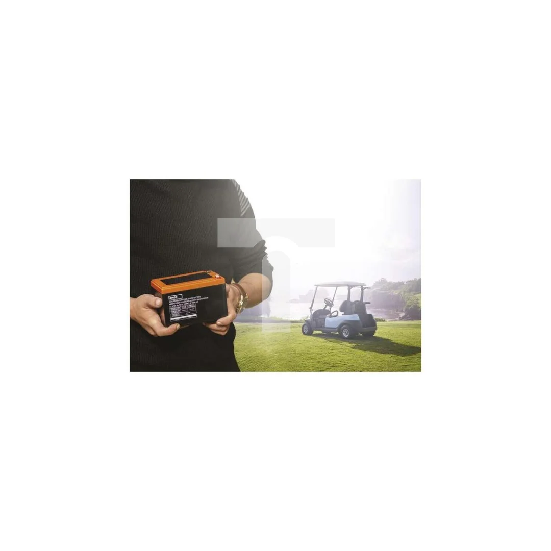 Akumulator VRLA AGM 12V 15Ah F6,3 B9656V