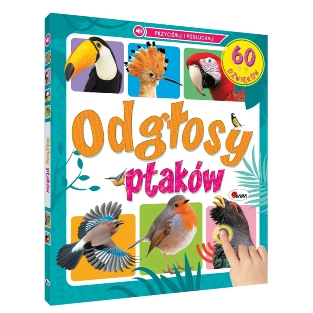 ODGŁOSY DŹWIĘKÓW