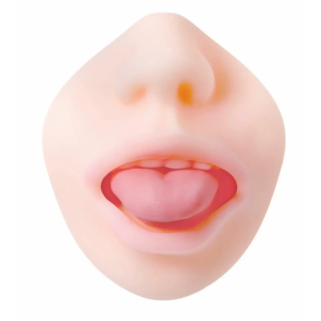 Evolved Real Mouth model anatomiczny z realistyczną powierzchnią 16 cm