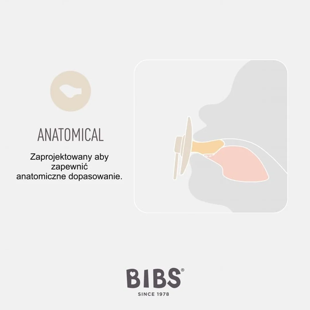 BIBS TRY-IT zestaw 3 szt smoczków niemowlęcych o różnych ustnikach SAGE