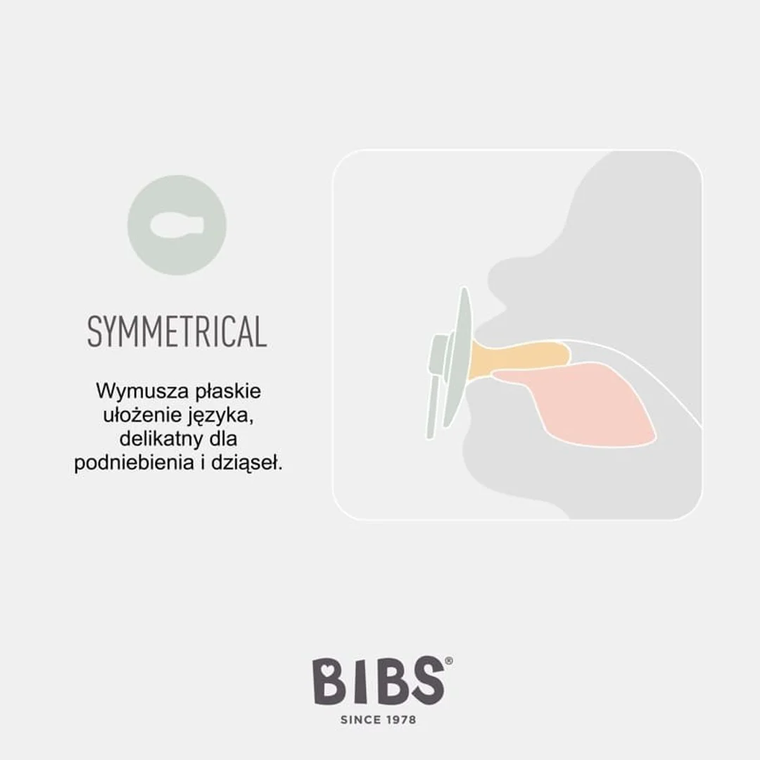 BIBS TRY-IT zestaw 3 szt smoczków niemowlęcych o różnych ustnikach SAGE