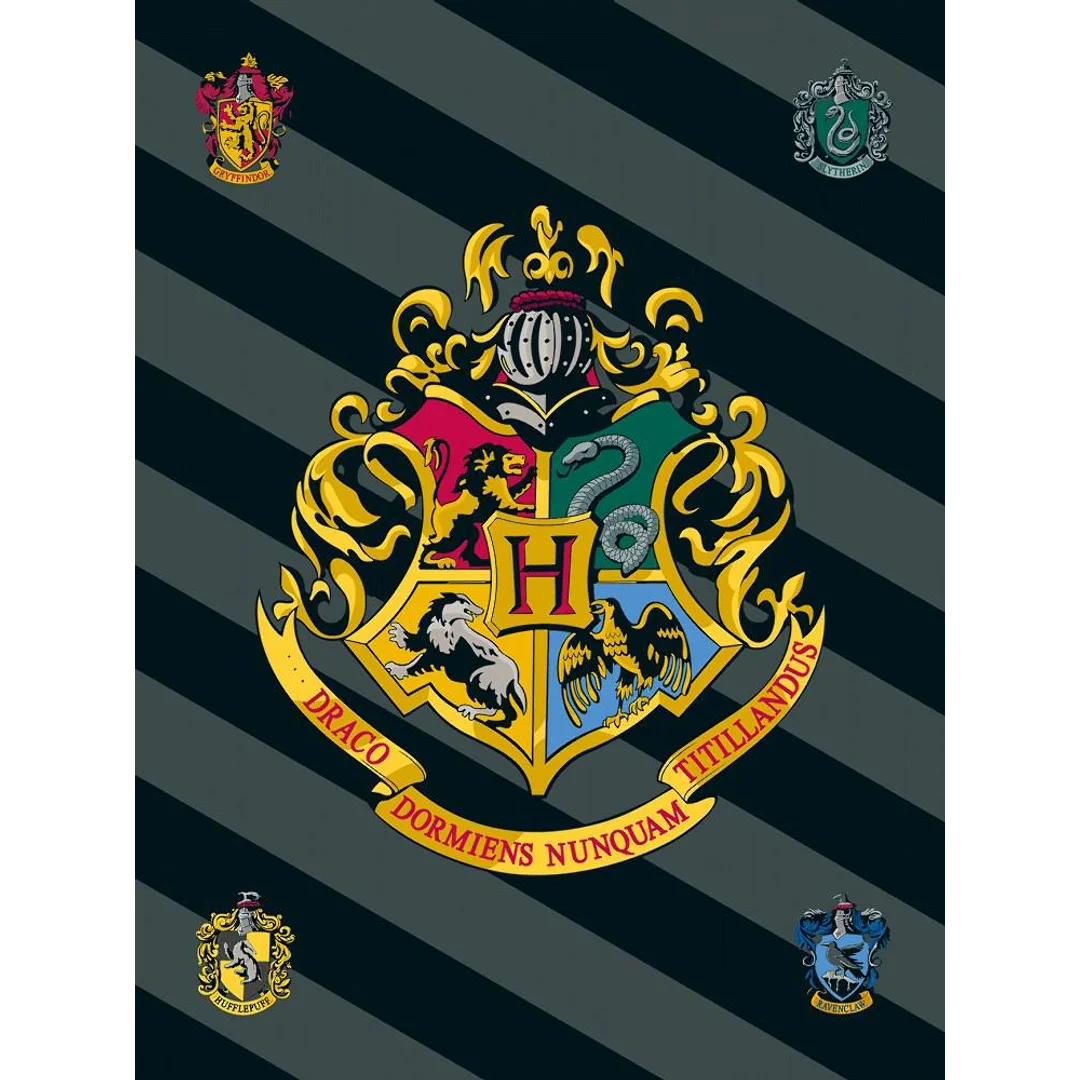 Kocyk polarowy 100x150 Harry Potter 0226 pled dziecięcy