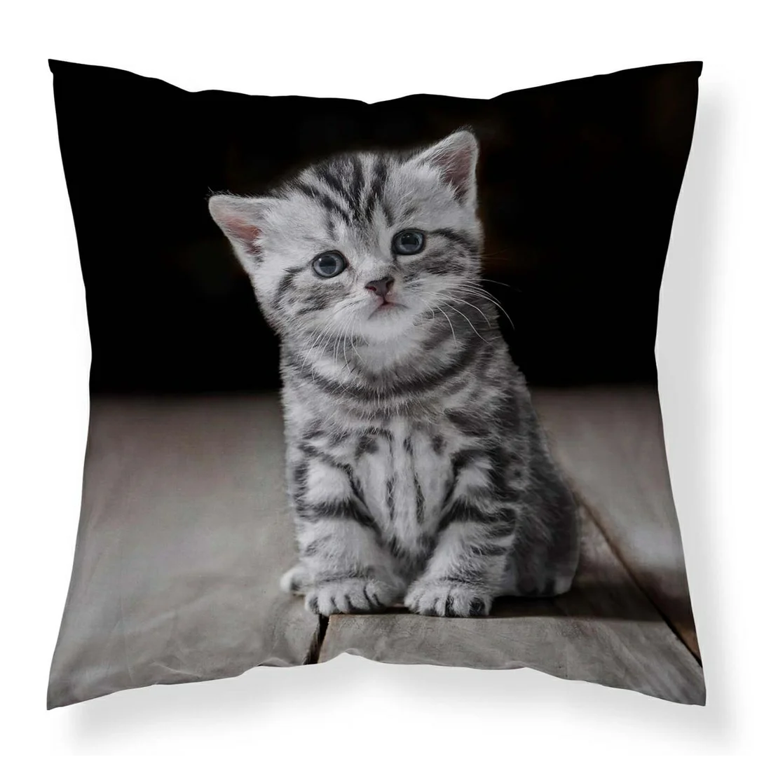 Poszewka dekoracyjna 40x40 kotek szary MF050 A – poszewka 3D z motywem kota - Fun Dreams