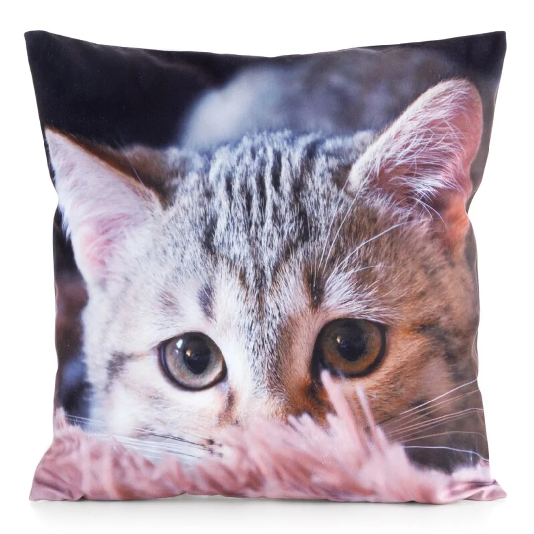 Poszewka dekoracyjna 45x45 Animal 75 Kotek Eurofirany